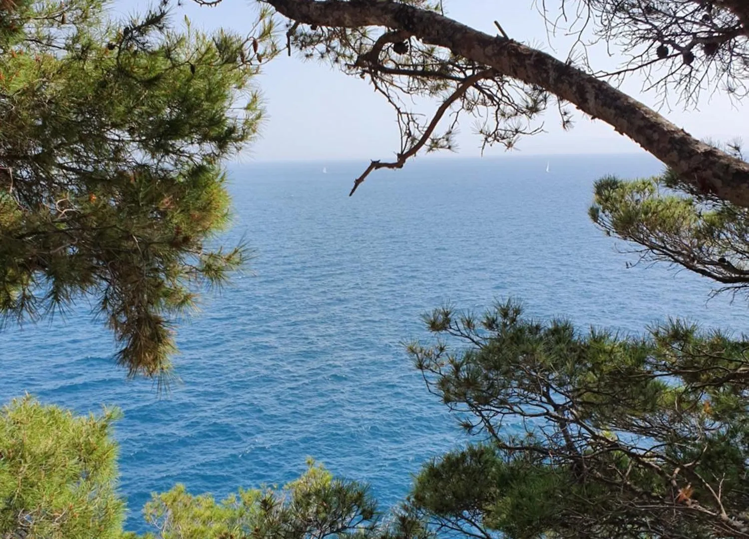 Apartment Kate Slatine Croatia